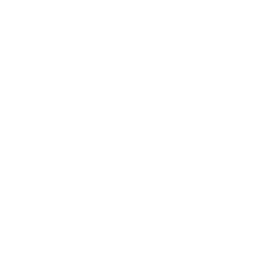 Antipalomas Icono Tejados Adrián